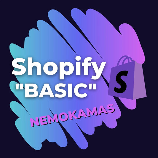 nemokamas internetines shopify parduotuves valdymo  kursas